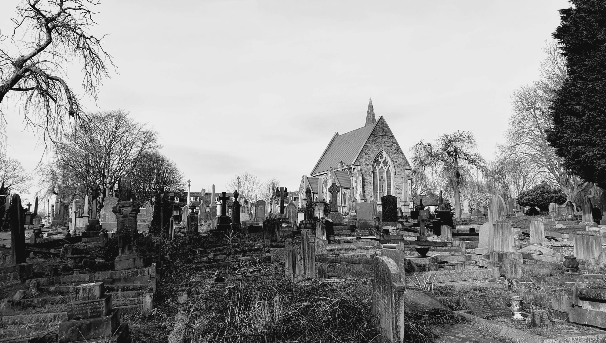 Graveyard silhouette